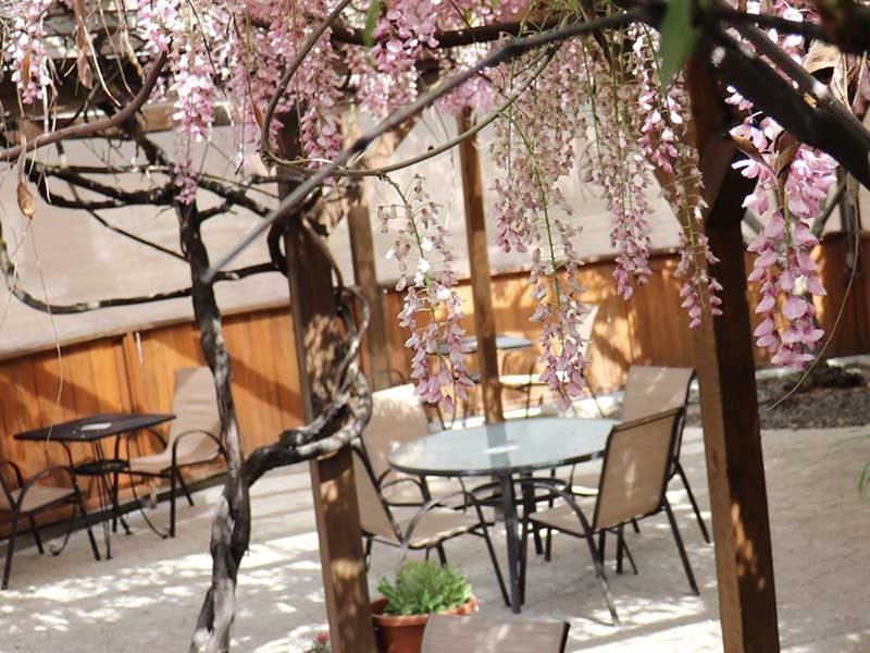 Dog-friendly shaded patio at The Lift Bar + Grill in Boise